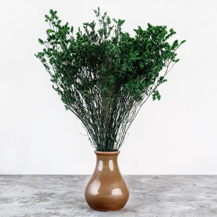 caspea Deep green 14 5.png