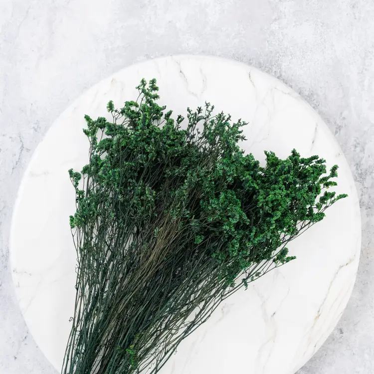 caspea Deep green 14 2.png