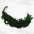 Szarłat Royal dark green 1.png