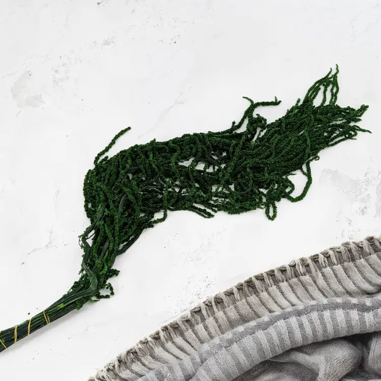 Szarłat Royal dark green 3.png