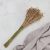 Len zloty pls 3.png