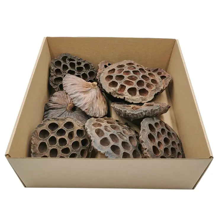 Lotos Suszony XL.jpg