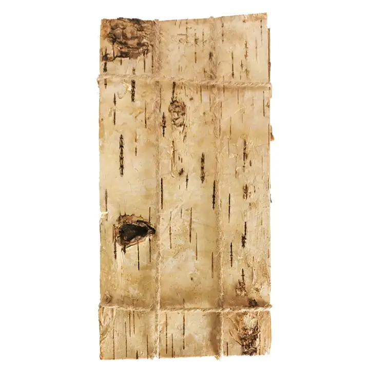 Płaty Brzozowe 20 x 10 cm.jpg