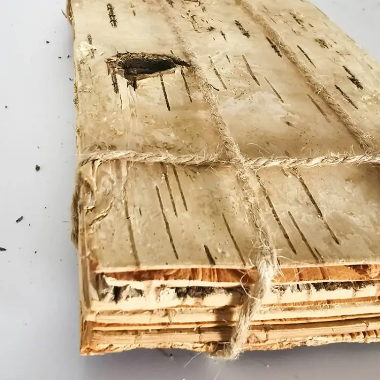 Płaty Brzozowe 20 x 10 cm 2.jpg