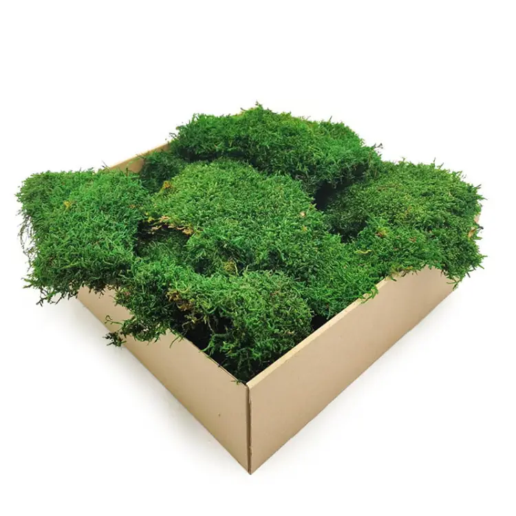 Mech Płaski SZ stabilizowany SWE.jpg