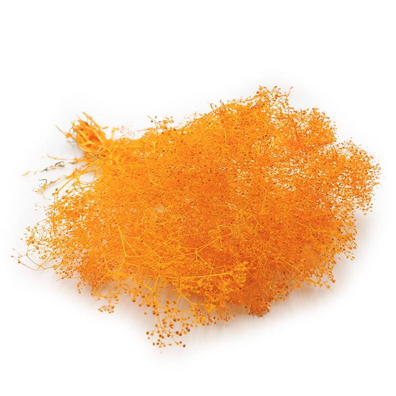 Gipsówka Stabilizowana MINI - (gypsophila) - Ochra