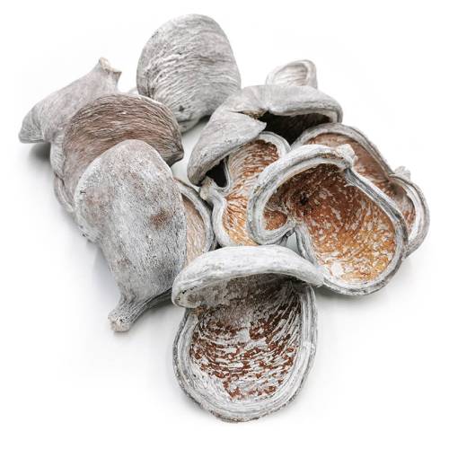 Badam White Washed 10szt.jpg