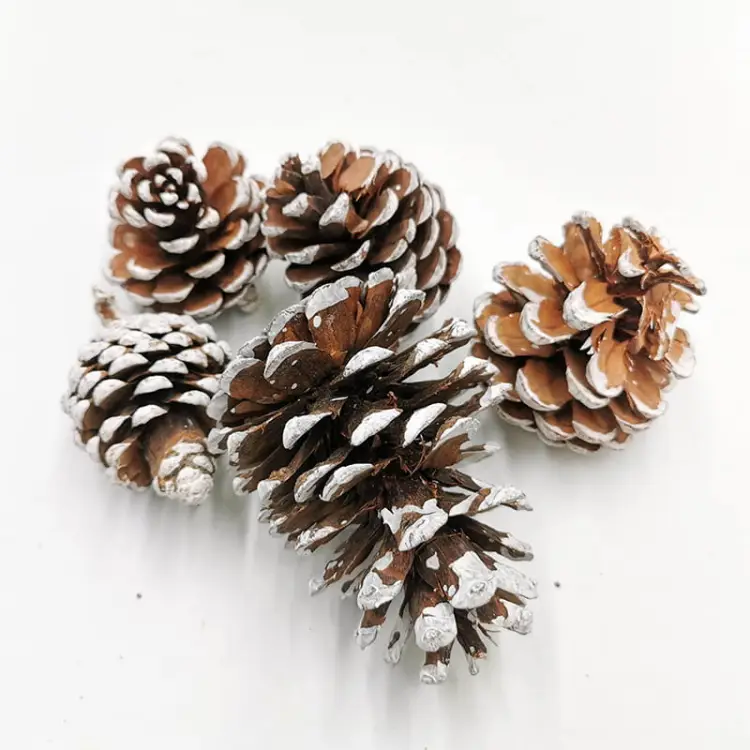 Szyszka Pine Cone Snow Tip 5szt zblizenie.jpg