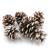 Szyszka Pine Cone Snow Tip 5szt.jpg