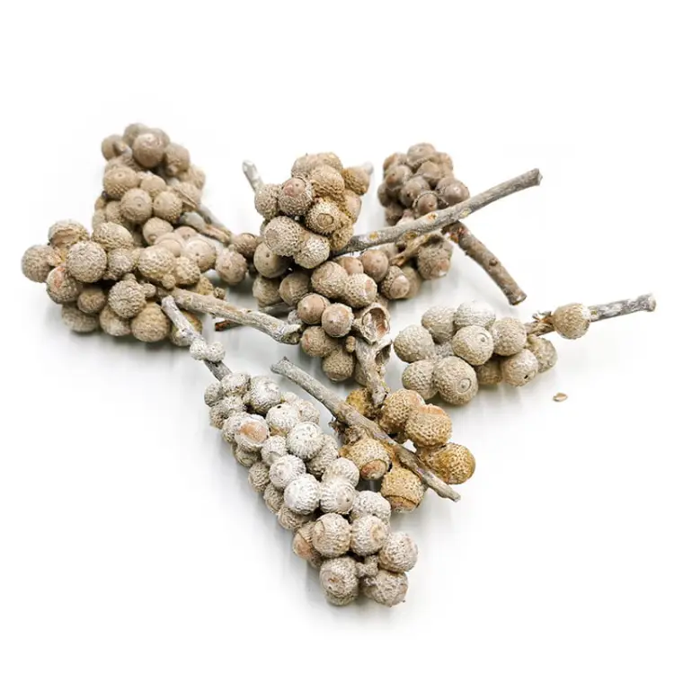 Acorn Bunch White Washed 10szt.jpg