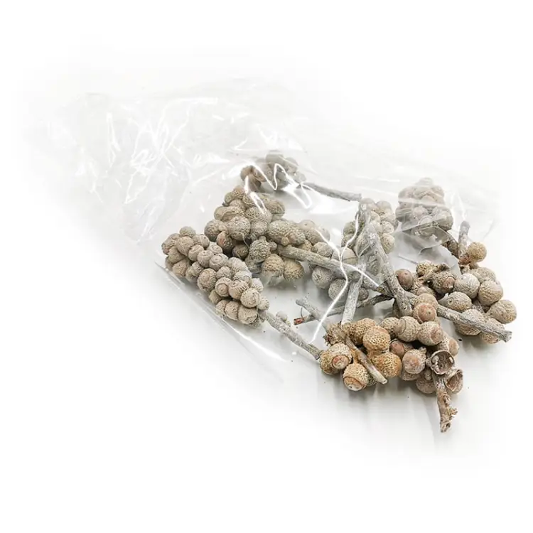 Acorn Bunch White Washed 10szt paczka.jpg