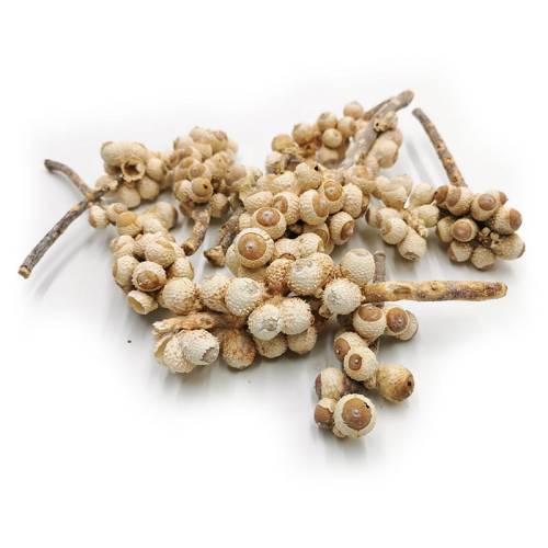 Acorn bunch Bleached 10szt.jpg