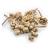 Acorn bunch Bleached 10szt.jpg