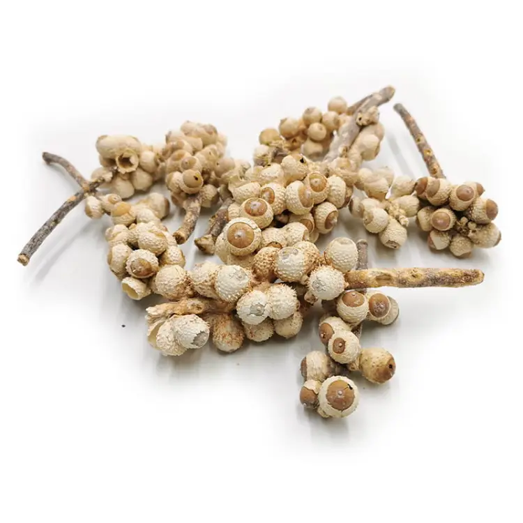 Acorn bunch Bleached 10szt.jpg