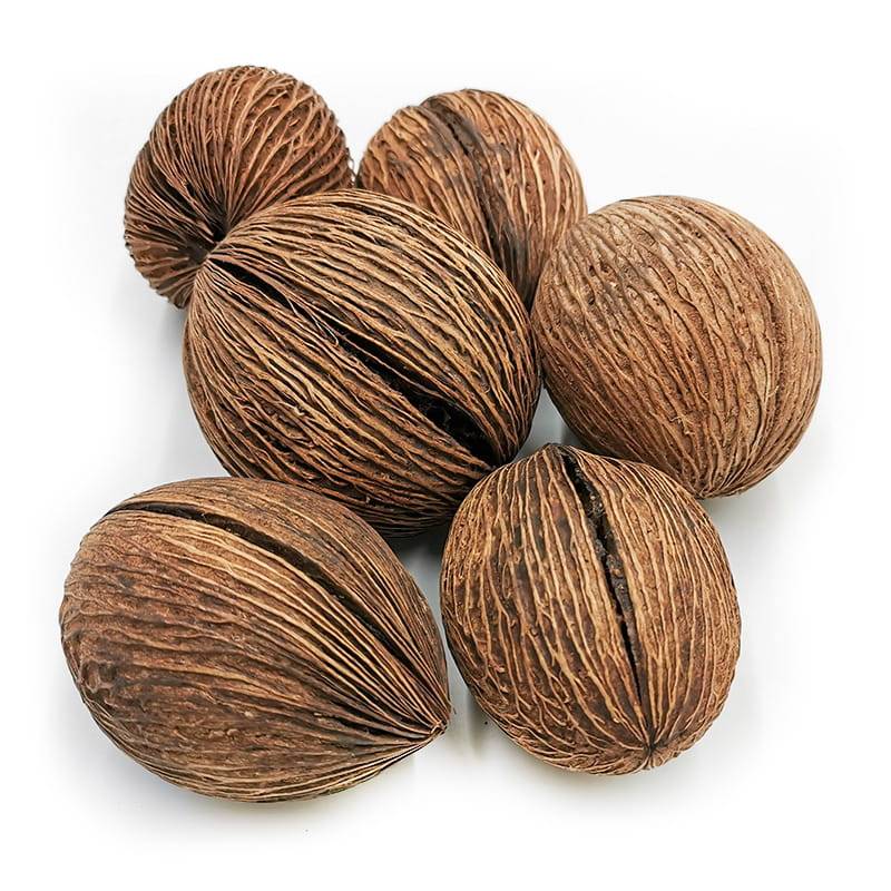 Kula mintola (Mintola Ball) naturalna  - susz egzotyczny - 6 szt.