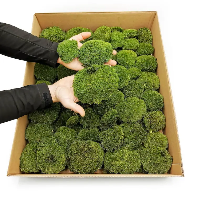 PCZ Karton dłonie.jpg