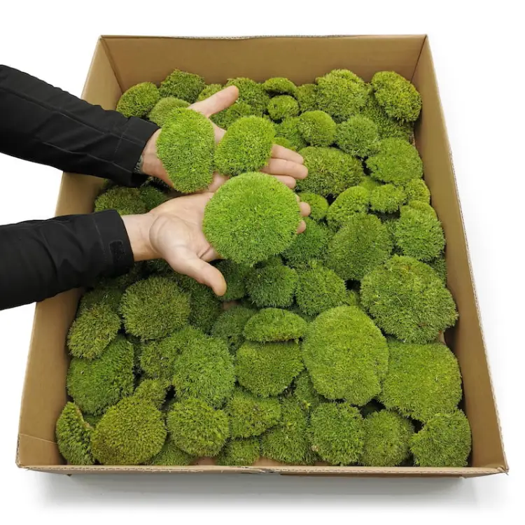 PJZ Karton dłonie.jpg