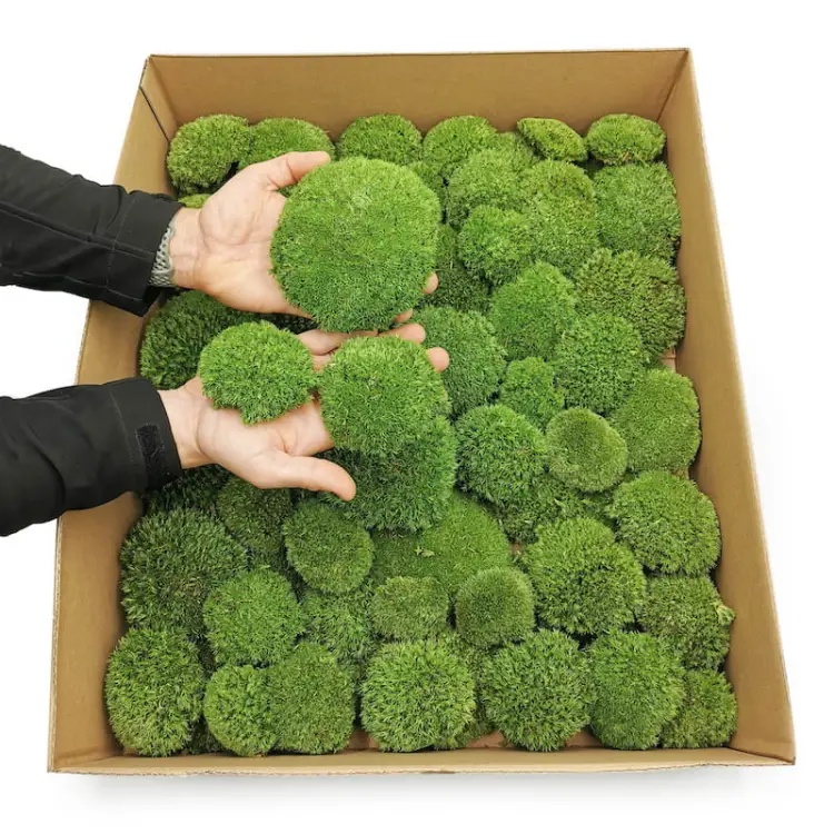 PSZ Karton dłonie.jpg