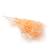 Ruskus peach okladka.jpg