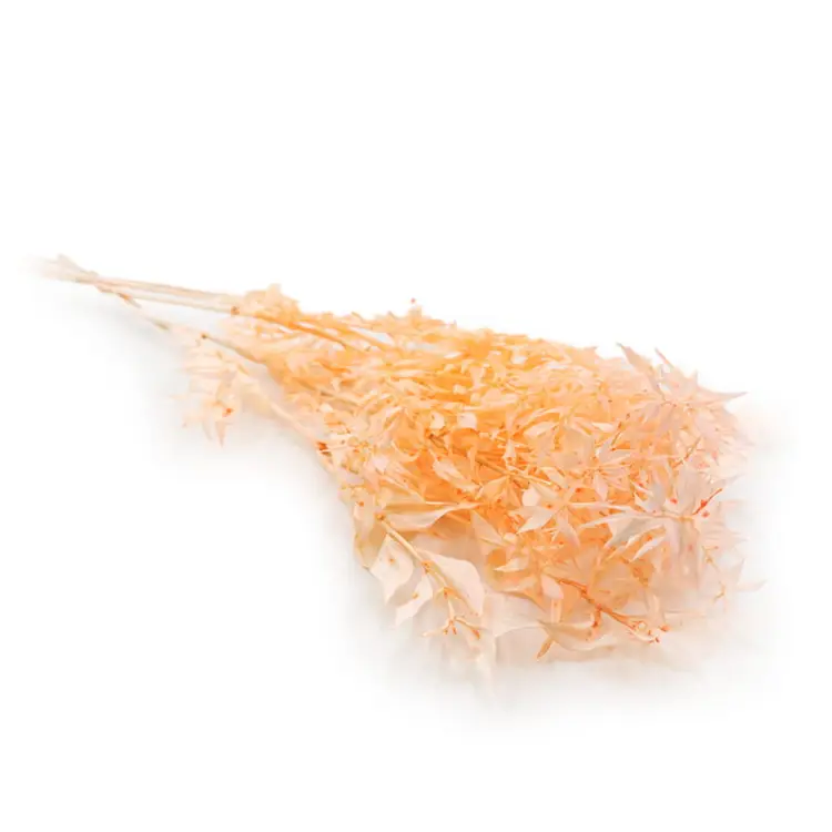 Ruskus peach okladka.jpg