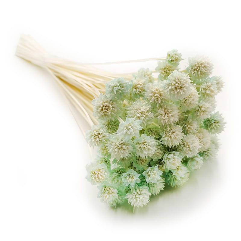 Hill Flower - Miętowy