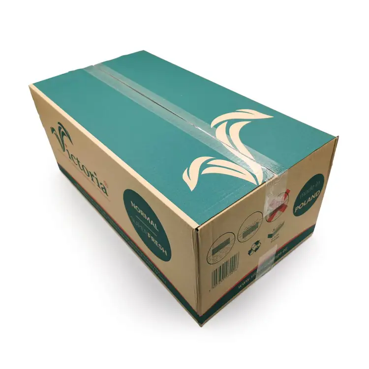 Gąbka florystyczna mokra Victoria Normal _pudelko cale.jpg