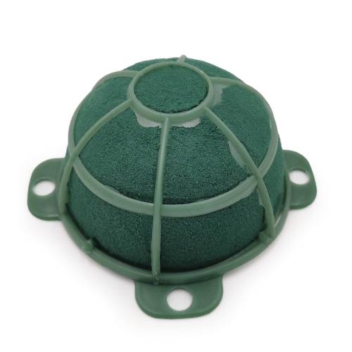 Turtle Midi pojedyncze_okladka.jpg