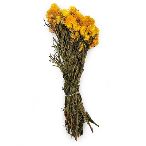 Kocanka Żółta PREMIUM cala.jpg