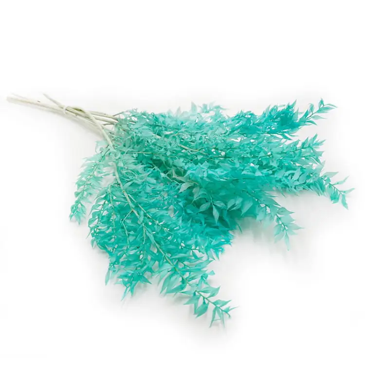 Ruskus Miętowy okladka.jpg