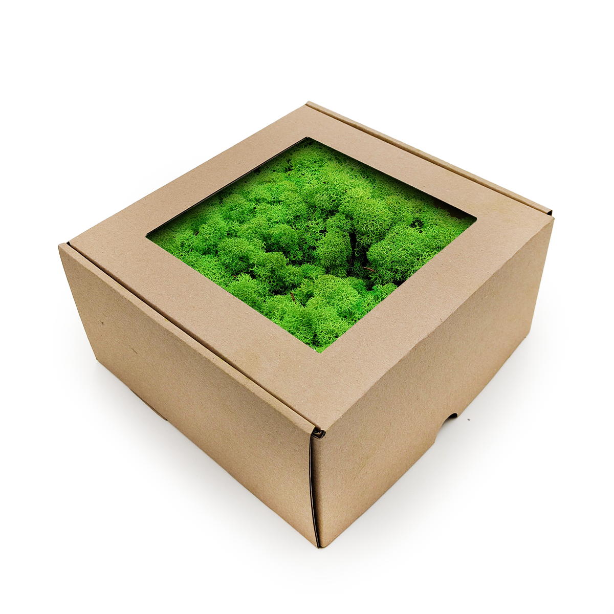 Mech Chrobotek Reniferowy - Norwegia - Trawiasty Zielony 250g NETTO