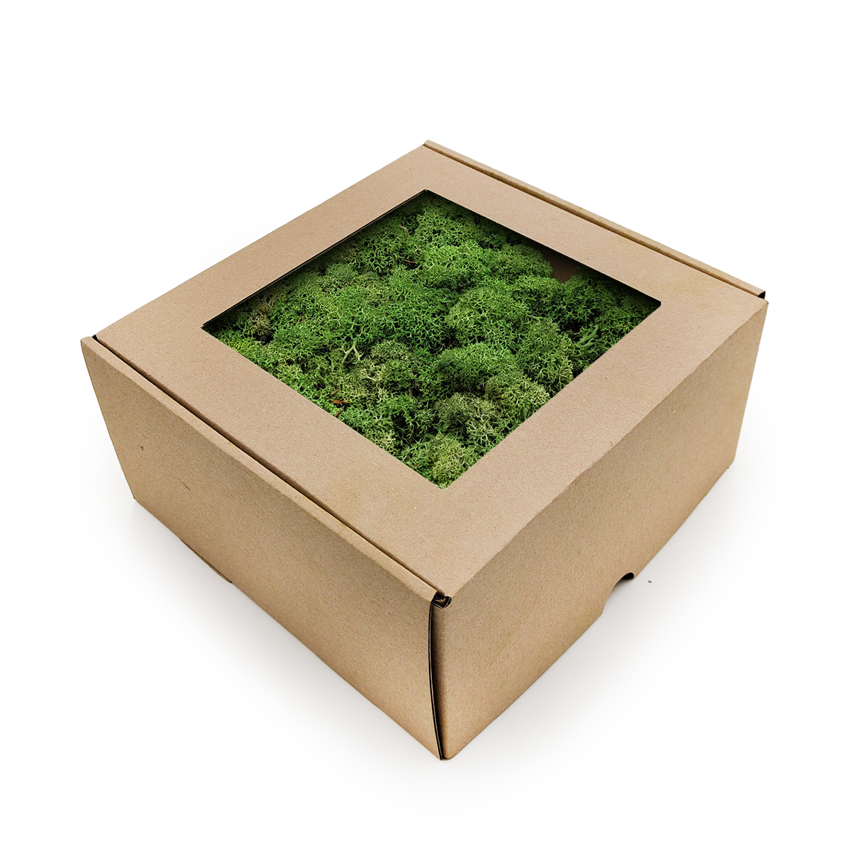 Mech Chrobotek Reniferowy - Norwegia - Butelkowy 250g NETTO