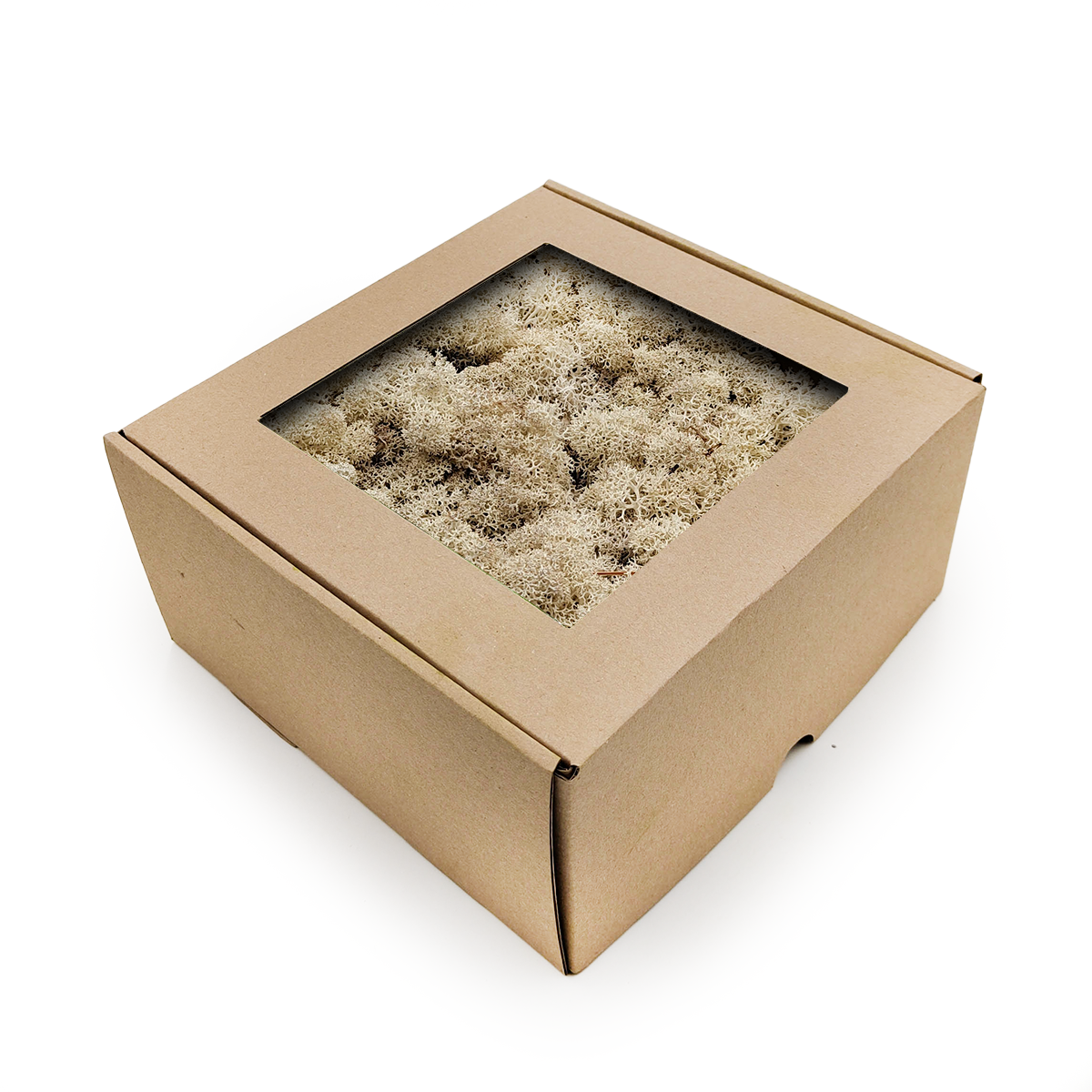 Mech Chrobotek Reniferowy - Norwegia - Naturalny Biały 250g NETTO