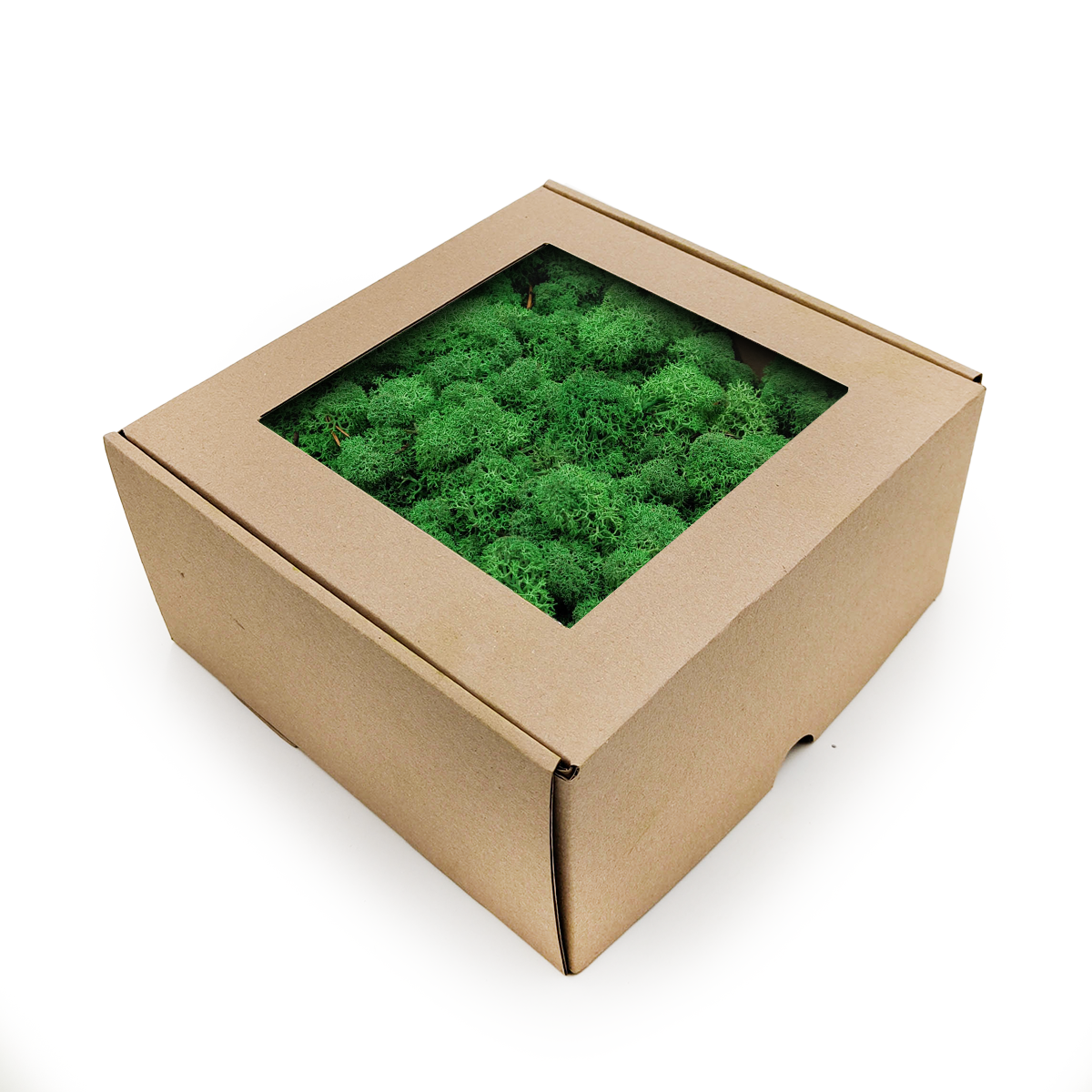 Mech Chrobotek Reniferowy - Norwegia - Trawa w cieniu 250g NETTO