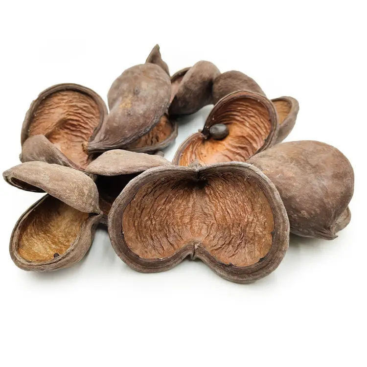 badam naturalny okladka.png