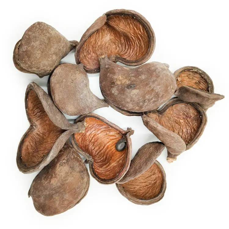 Badam naturalny gora.png