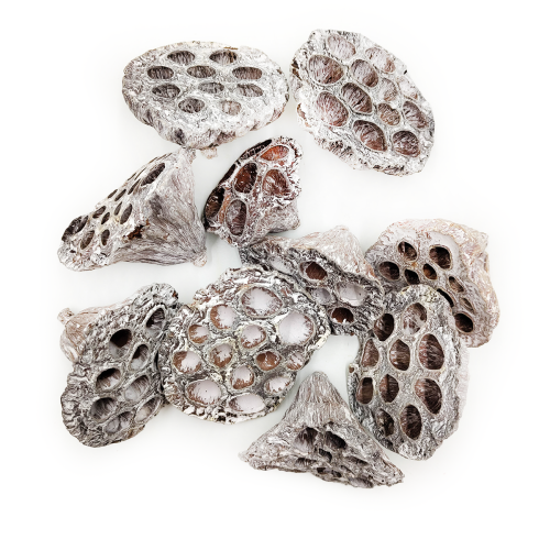 Lotos M white washed gora.png