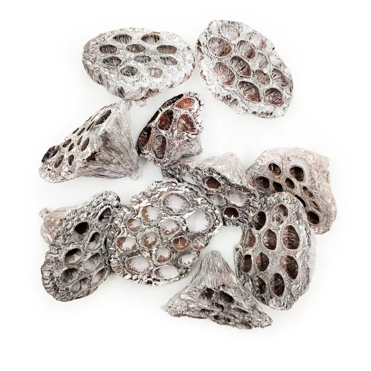 Lotos M white washed gora.png