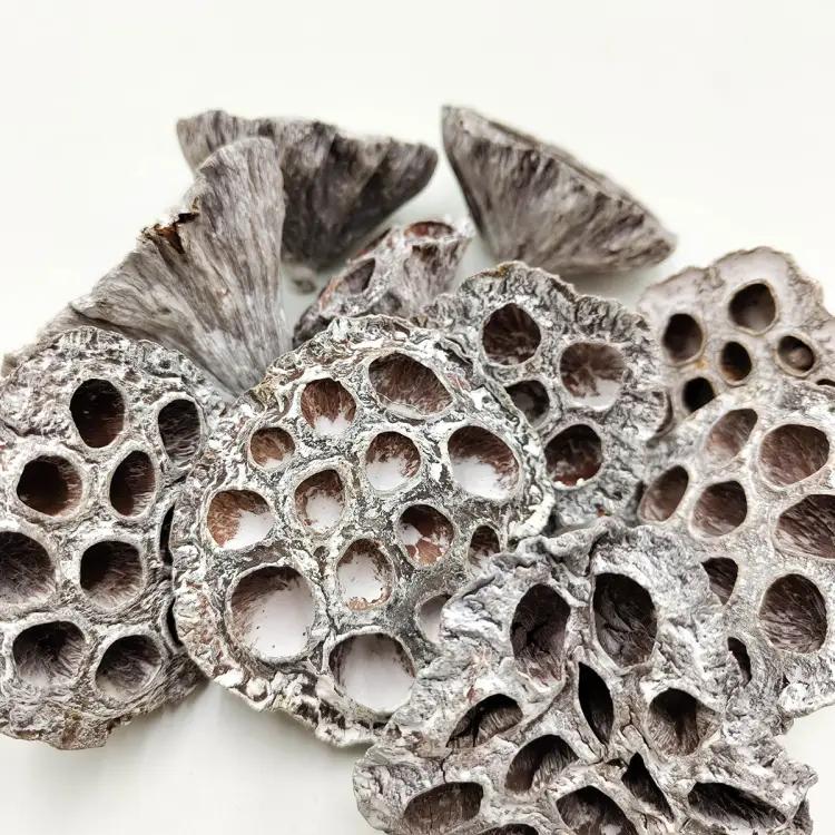 Lotos M white washed zblizenie.png