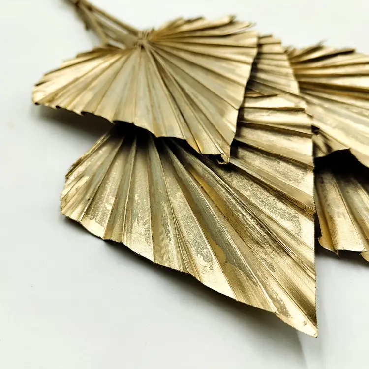 palm spear zloty suszony zblizenie.png