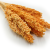 Sorgo sorghum suszone brzoskwiniowe zblizenie.png