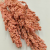 Sorgo rozowe suszone zbliz.png