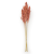 Sorgo rozowe suszone cale.png