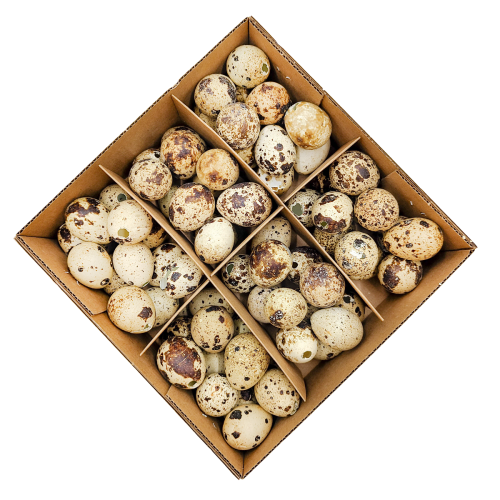 Jajka przepiórcze naturalne  okladka.png