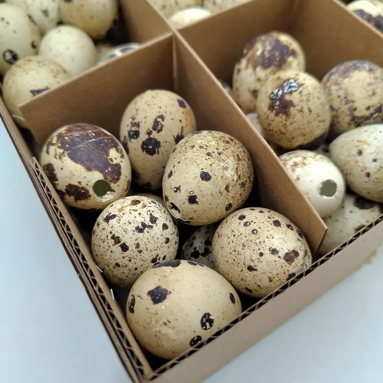 Jajka przepiórcze naturalne wydmuszki.png