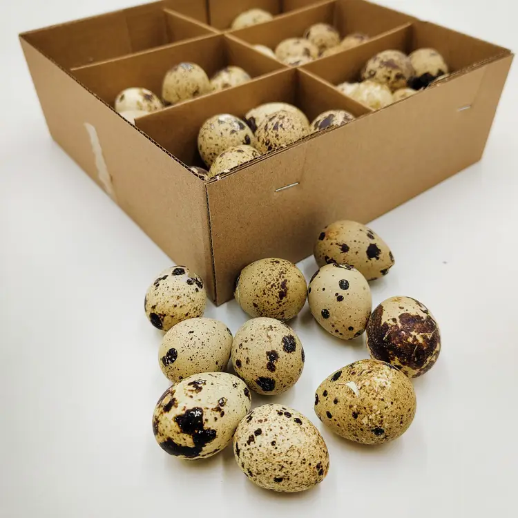 Jajka przepiórcze naturalne zblizenie1.png