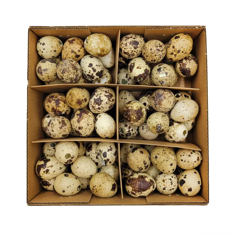 Jajka przepiórcze naturalne zblizenieokladka.png