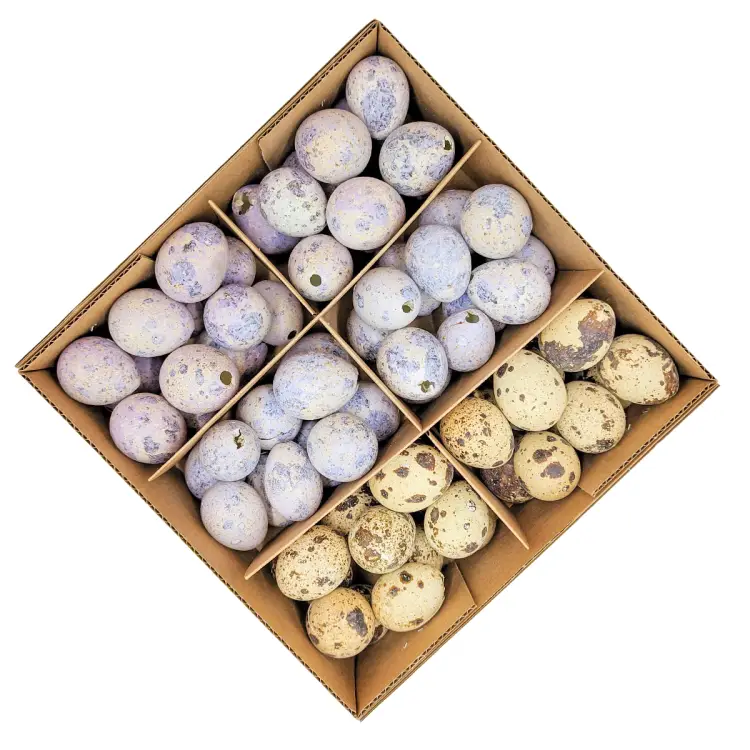 Jajka przepiórcze mix wydmuszki wielkanocne.png