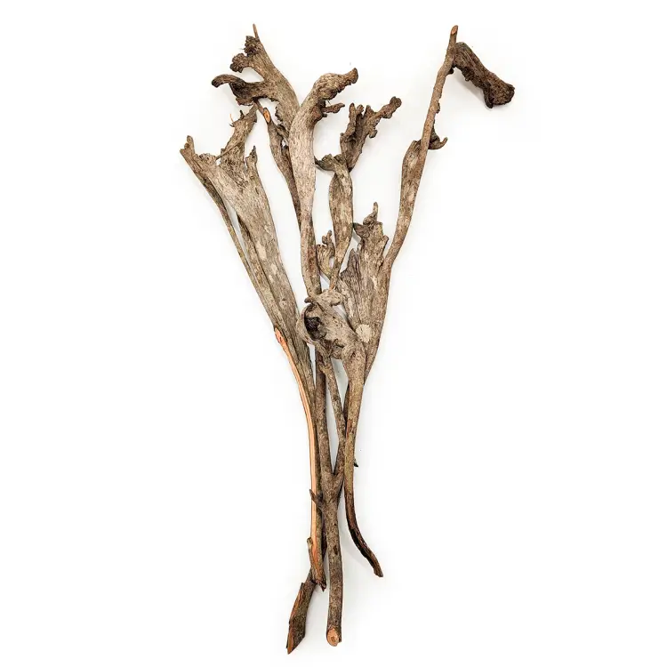 Natraj Naturalny Łosie Rogi cale.png