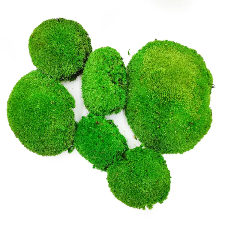 Mech Poduszkowy Szwedzki Premium Średnia Zieleń gora.png