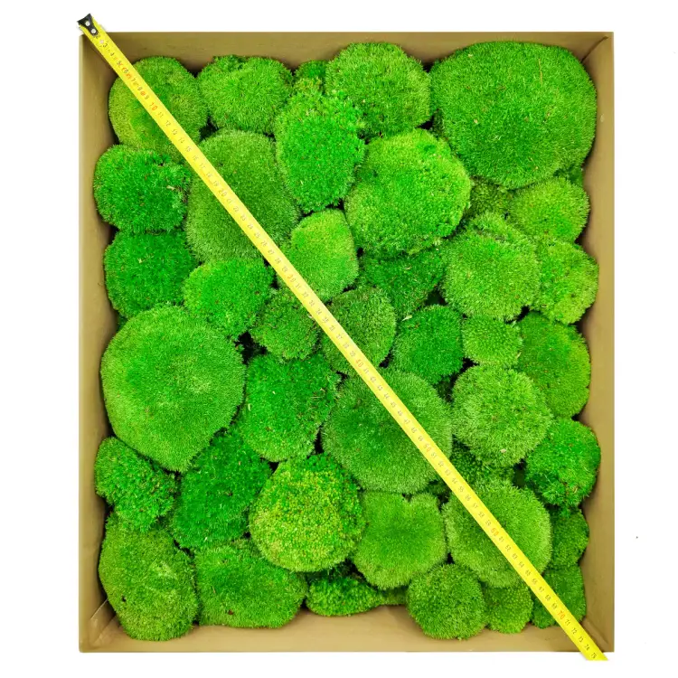 Poduszka Szwedzka Premium Średnia Zieleń Duże Opakoanie metr.png